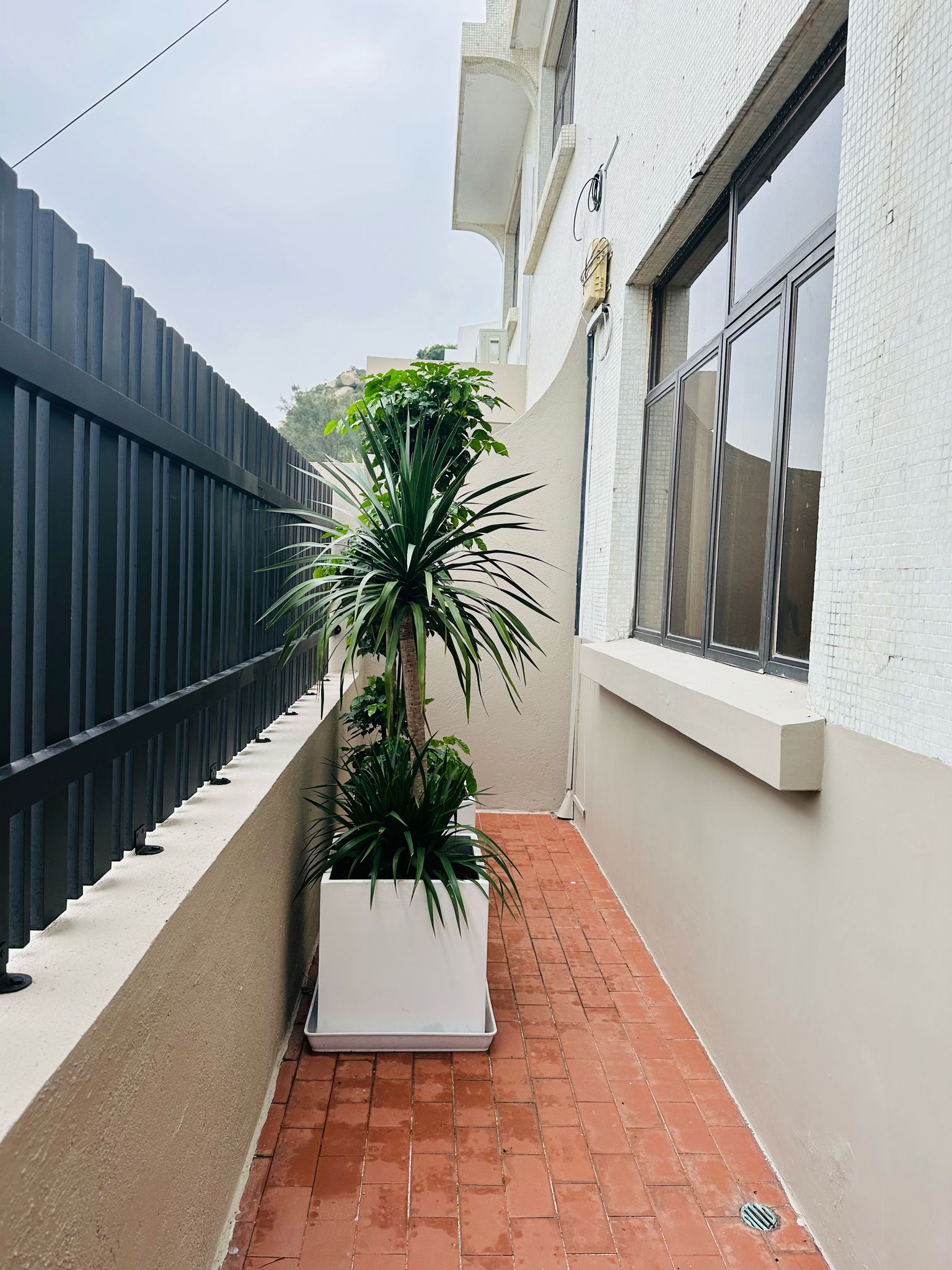 Macau Rent Village House in Coloane (For Rent)